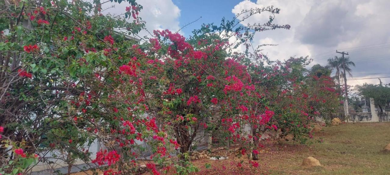 Villa De Assis Suites Alto Paraíso de Goiás Bagian luar foto